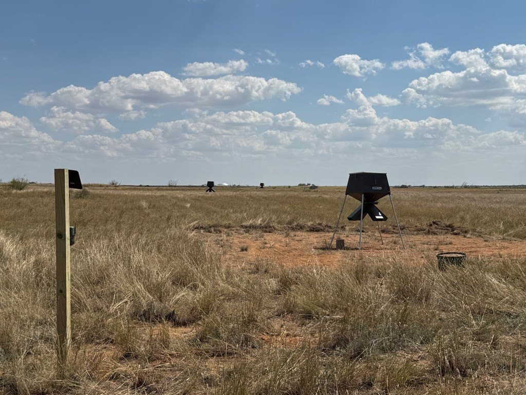 90 acres in Scurry County - photo 12