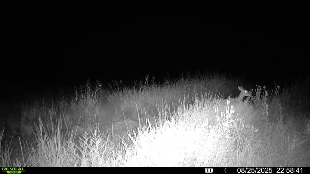 90 acres in Scurry County - photo 23