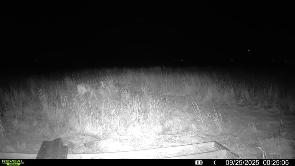 90 acres in Scurry County - photo 27