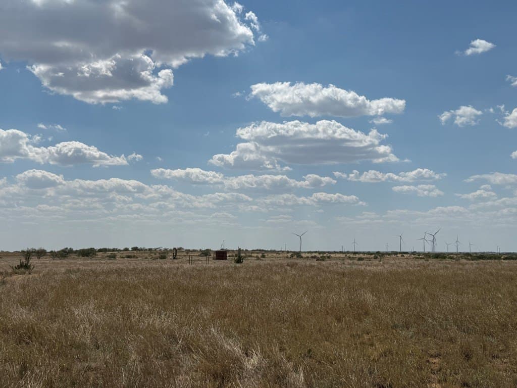 90 acres in Scurry County - photo 13