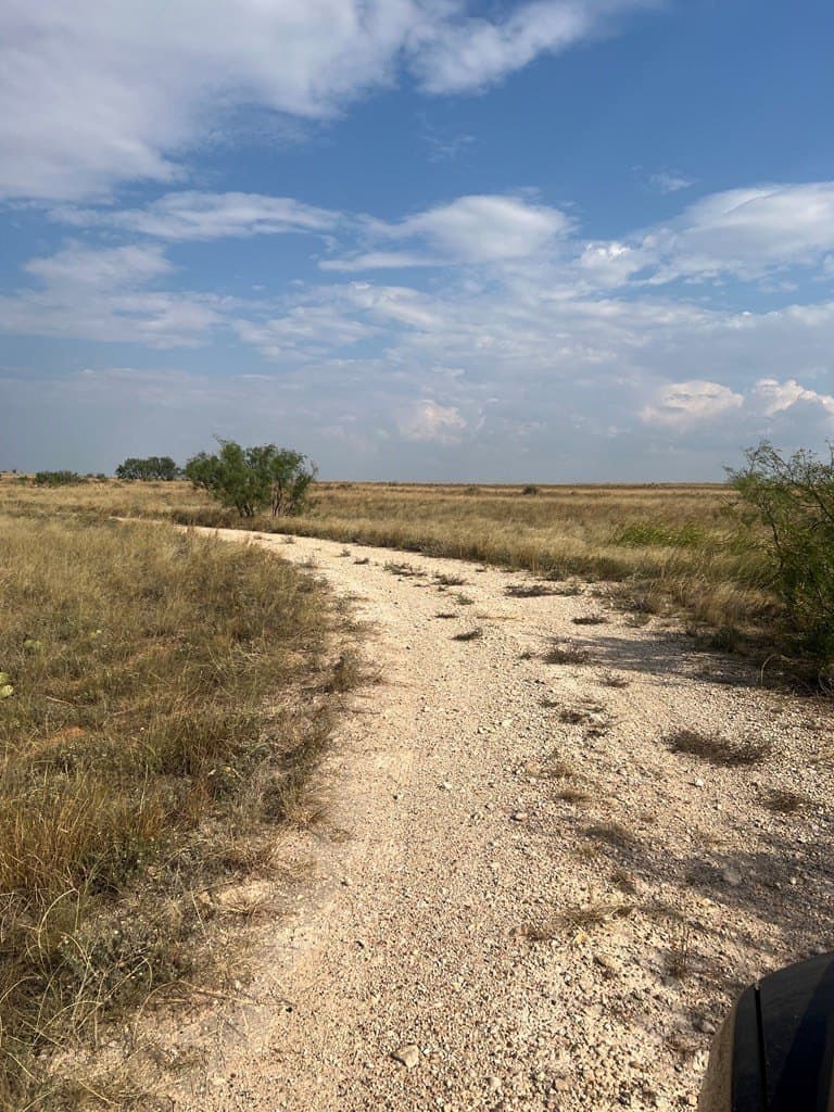 90 acres in Scurry County - photo 15