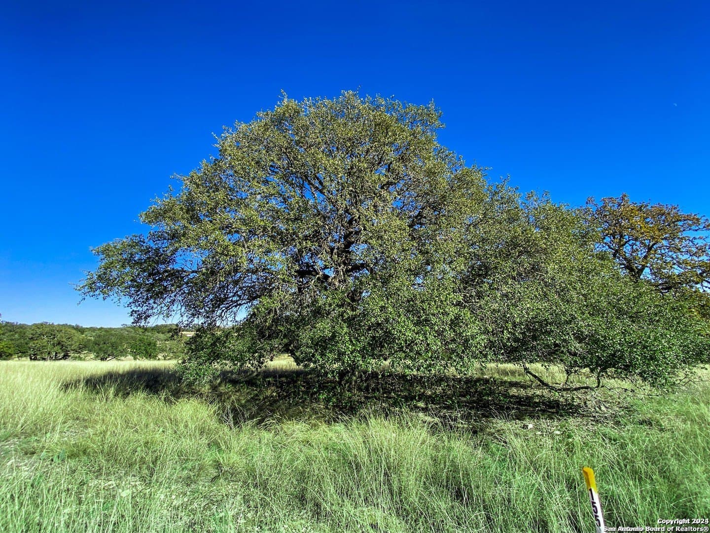 4.08 acres in Gillespie County - photo 3