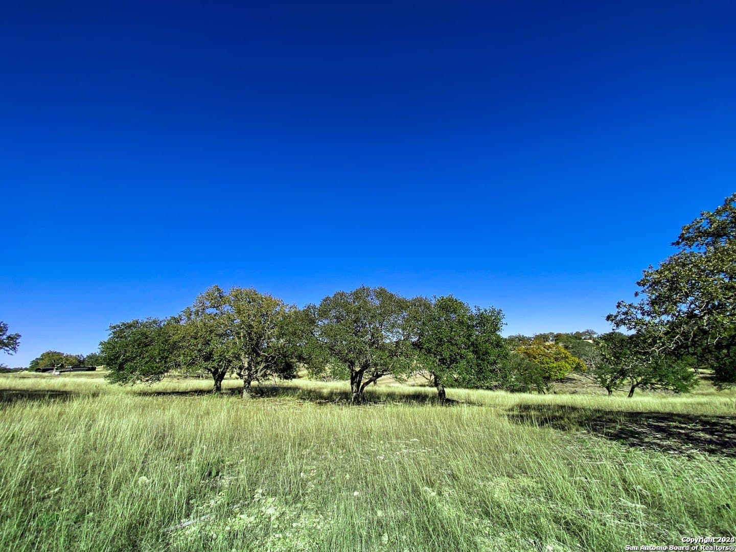 Loma Vista Ranch lot: 155