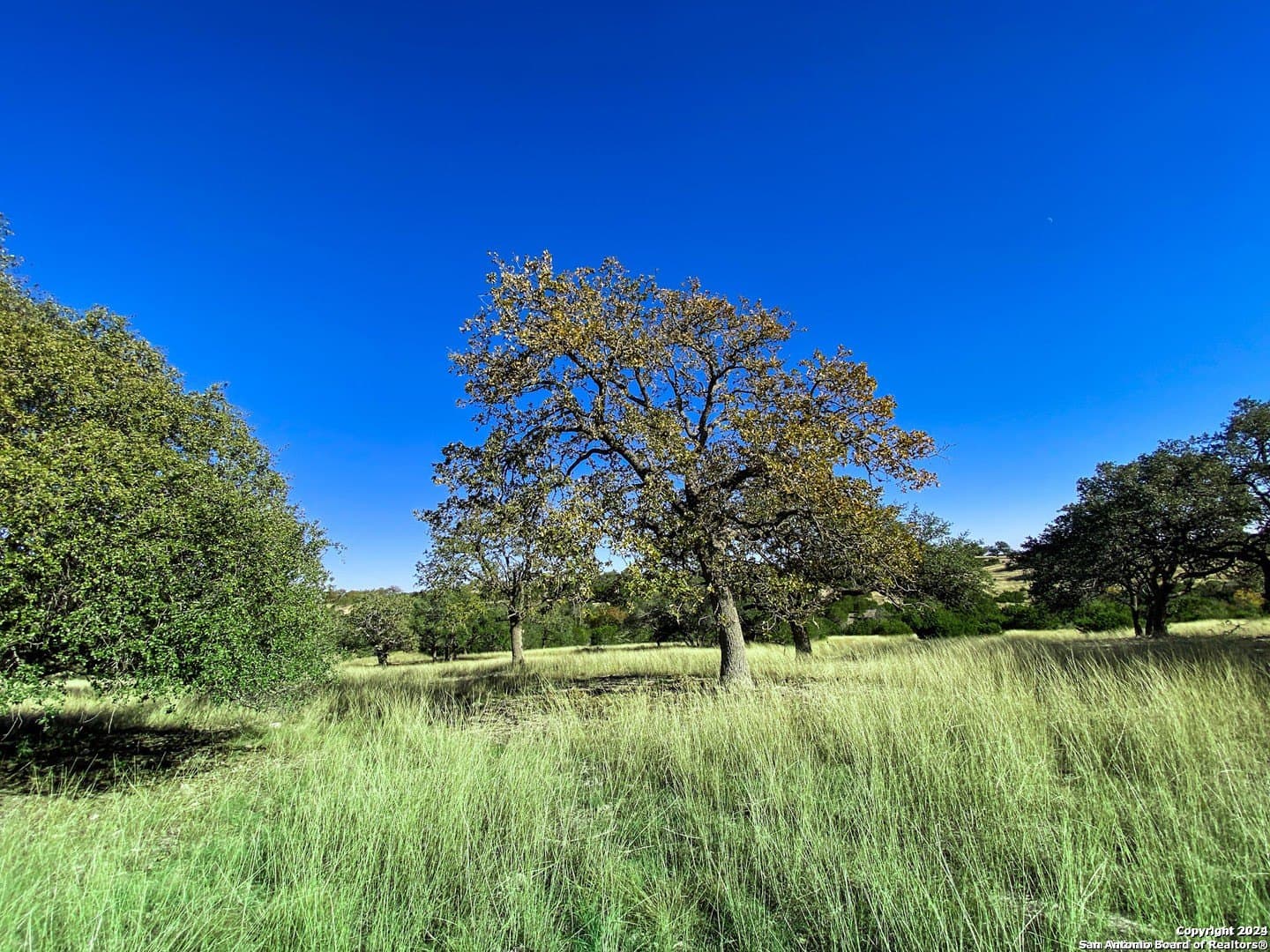 4.08 acres in Gillespie County - photo 4
