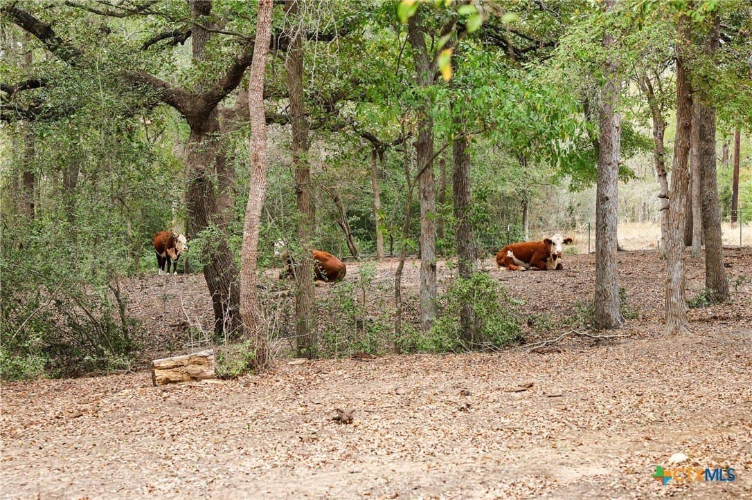 11 acres in Caldwell County - photo 42
