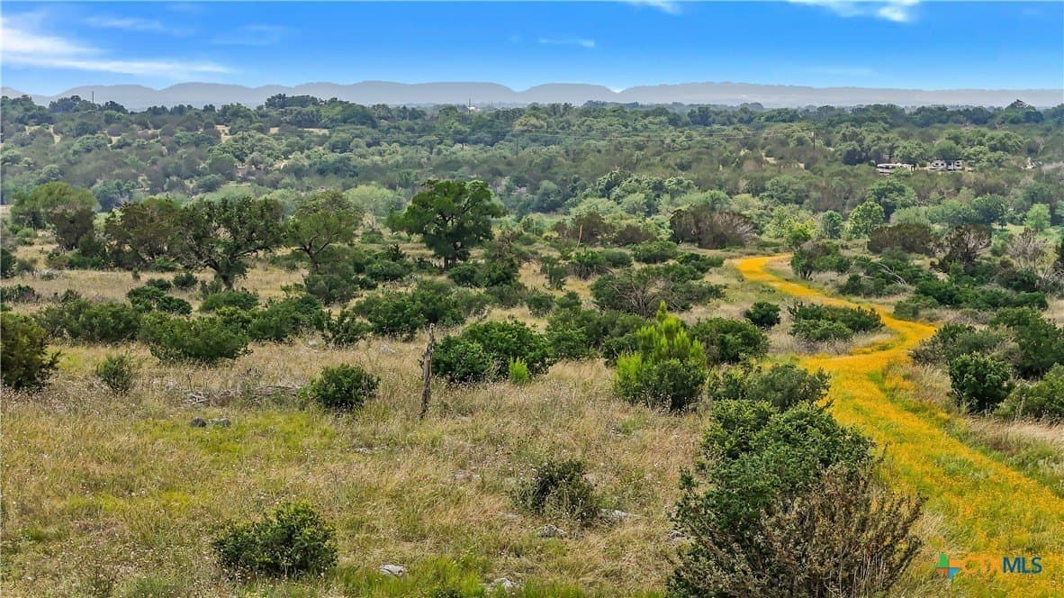 9.75 acres in Blanco County - photo 13