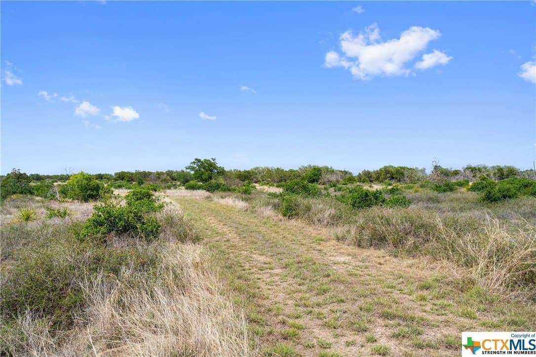 9.75 acres in Blanco County - photo 38