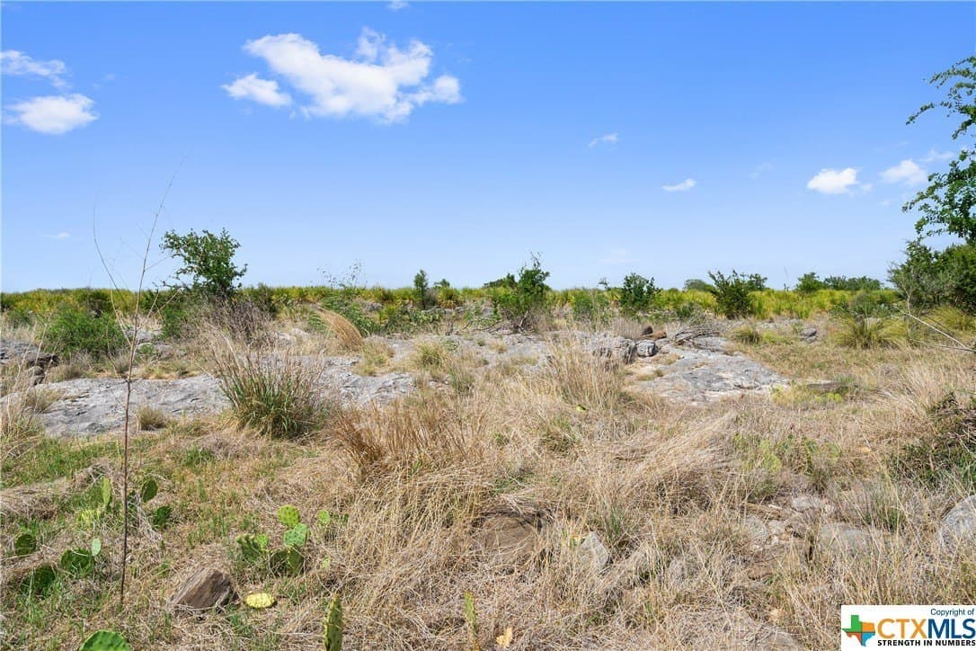 9.75 acres in Blanco County - photo 31
