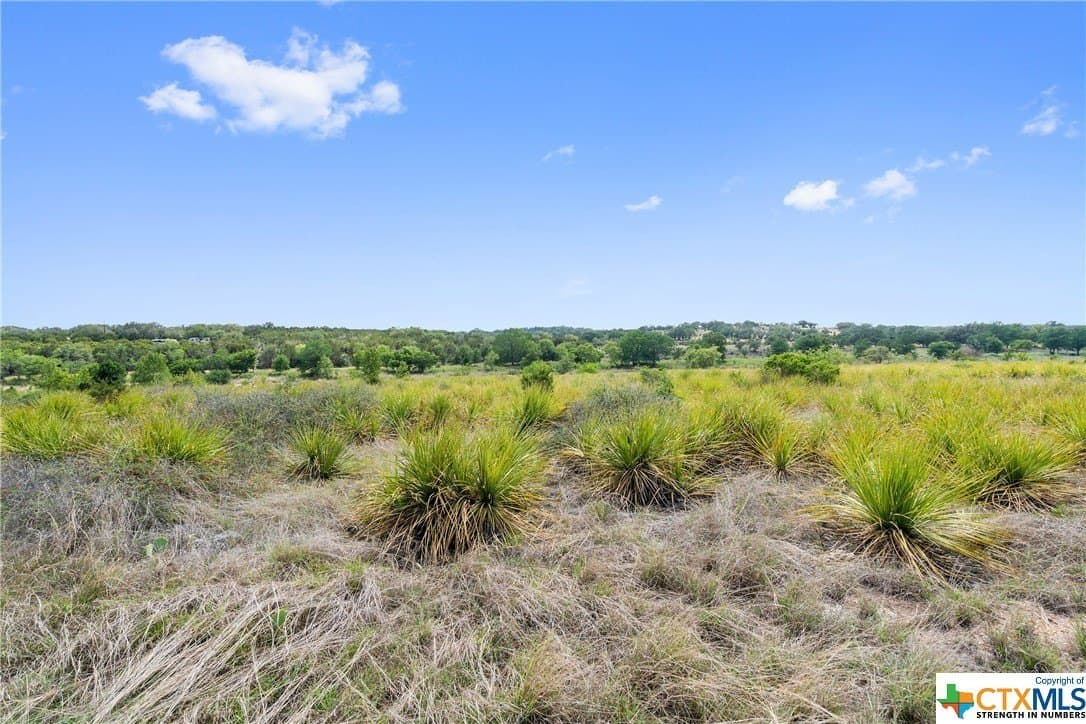 9.75 acres in Blanco County - photo 25