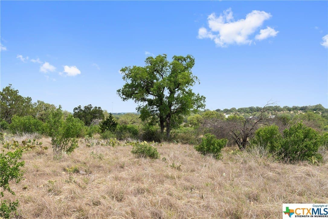 9.75 acres in Blanco County - photo 20