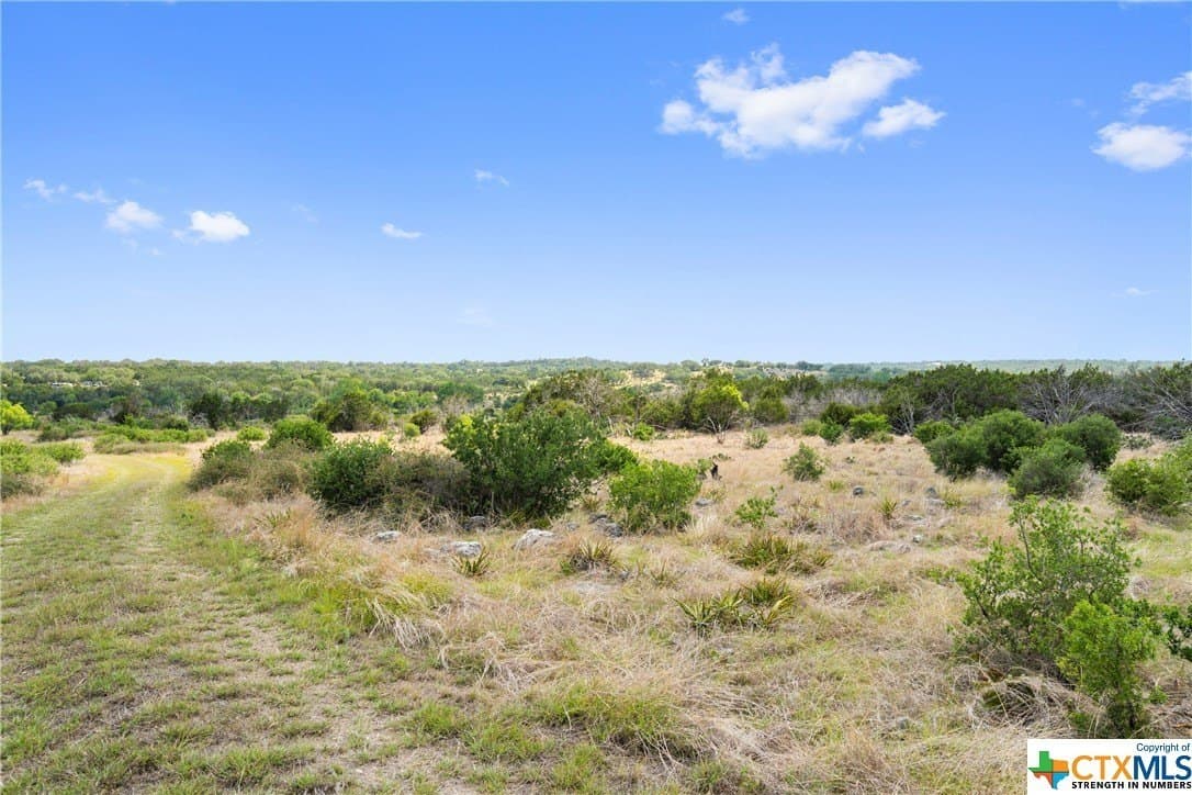 9.75 acres in Blanco County - photo 18