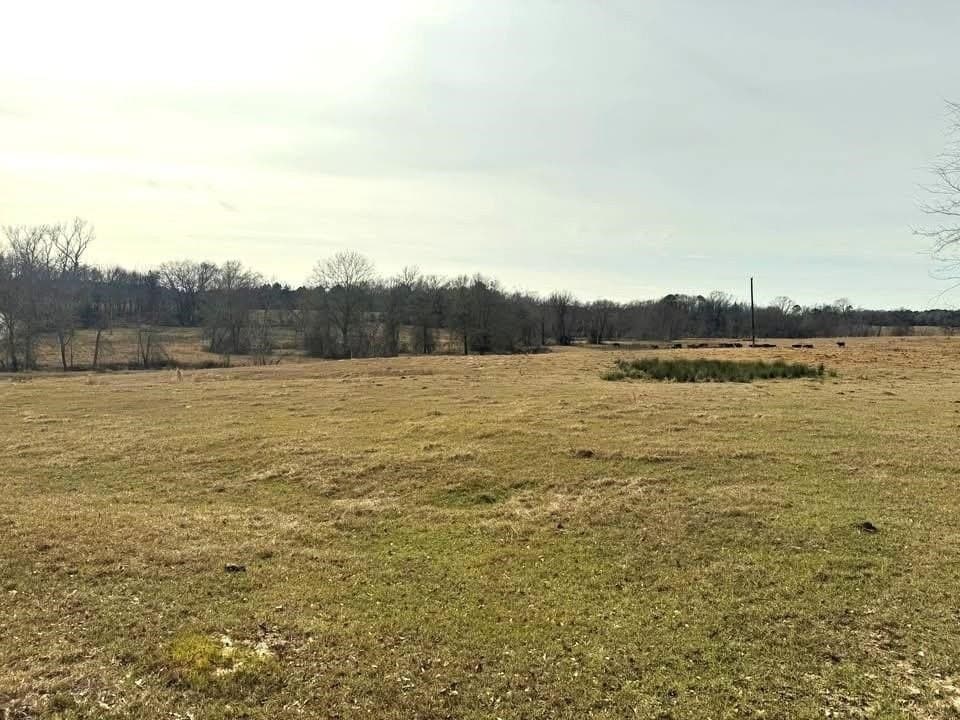 90.49 acres in Upshur County - photo 13