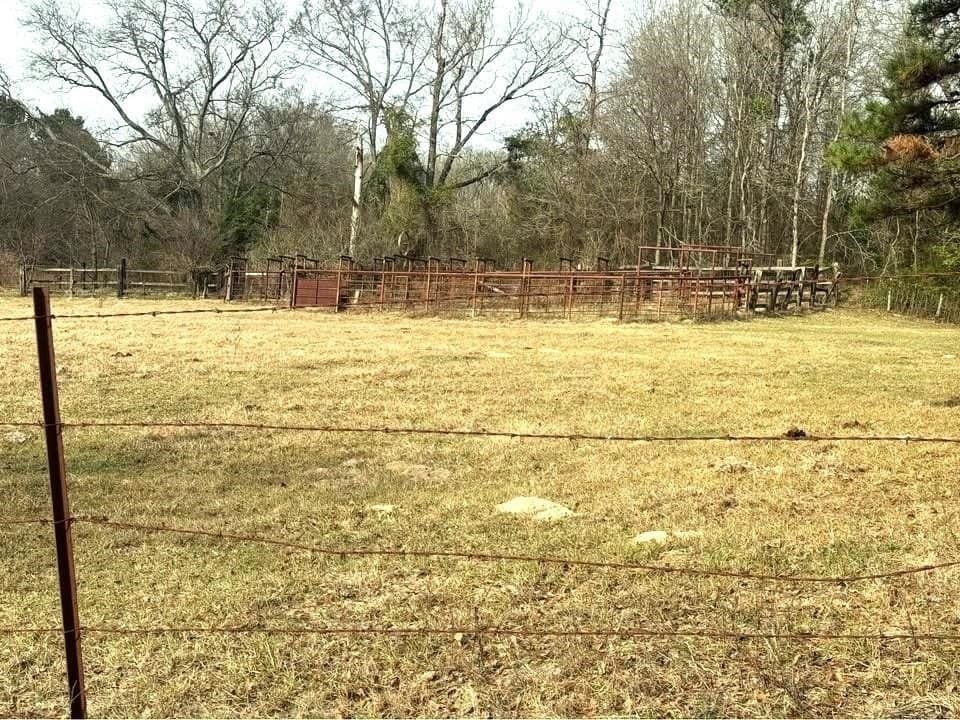 90.49 acres in Upshur County - photo 6