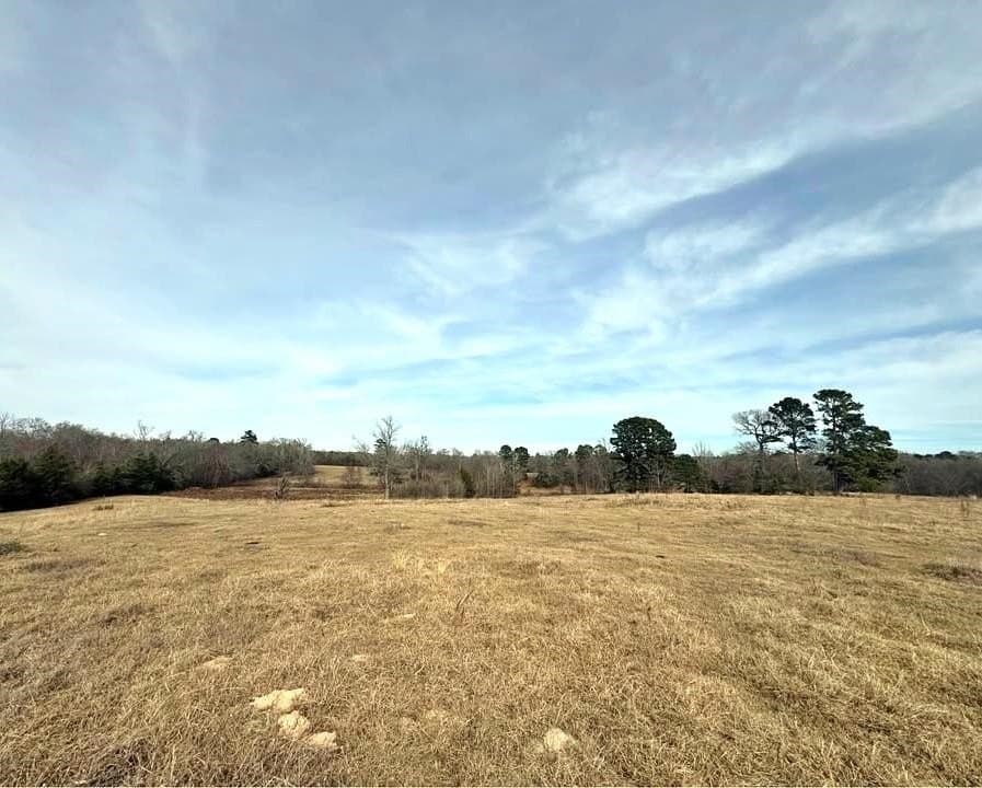 90.49 acres in Upshur County - photo 15