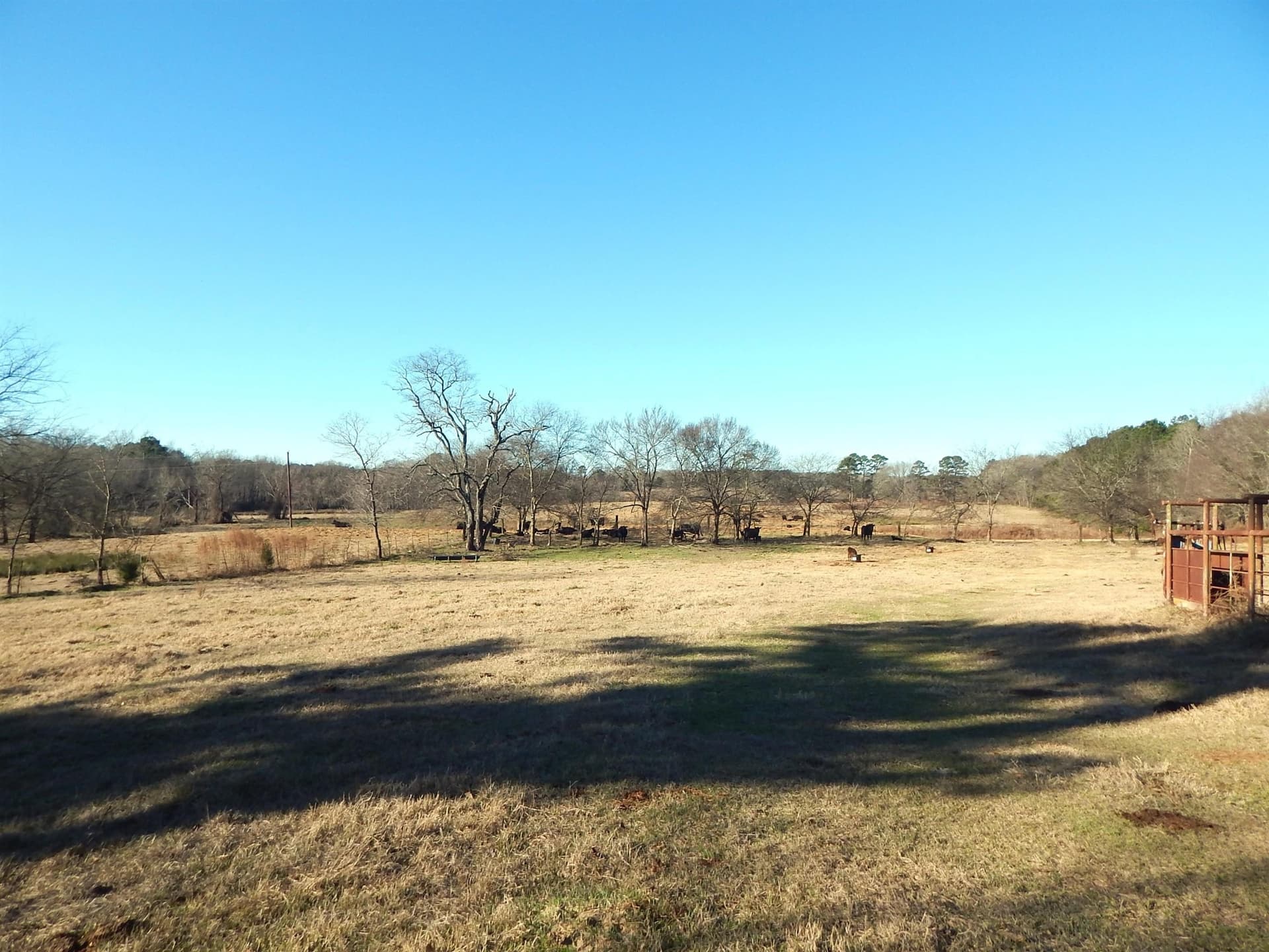 90.49 acres in Upshur County - photo 24
