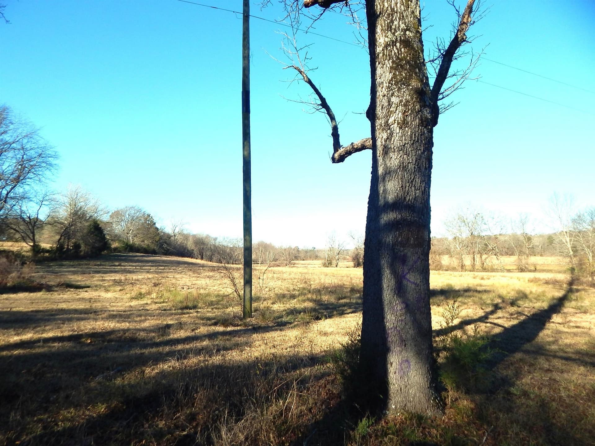 90.49 acres in Upshur County - photo 25