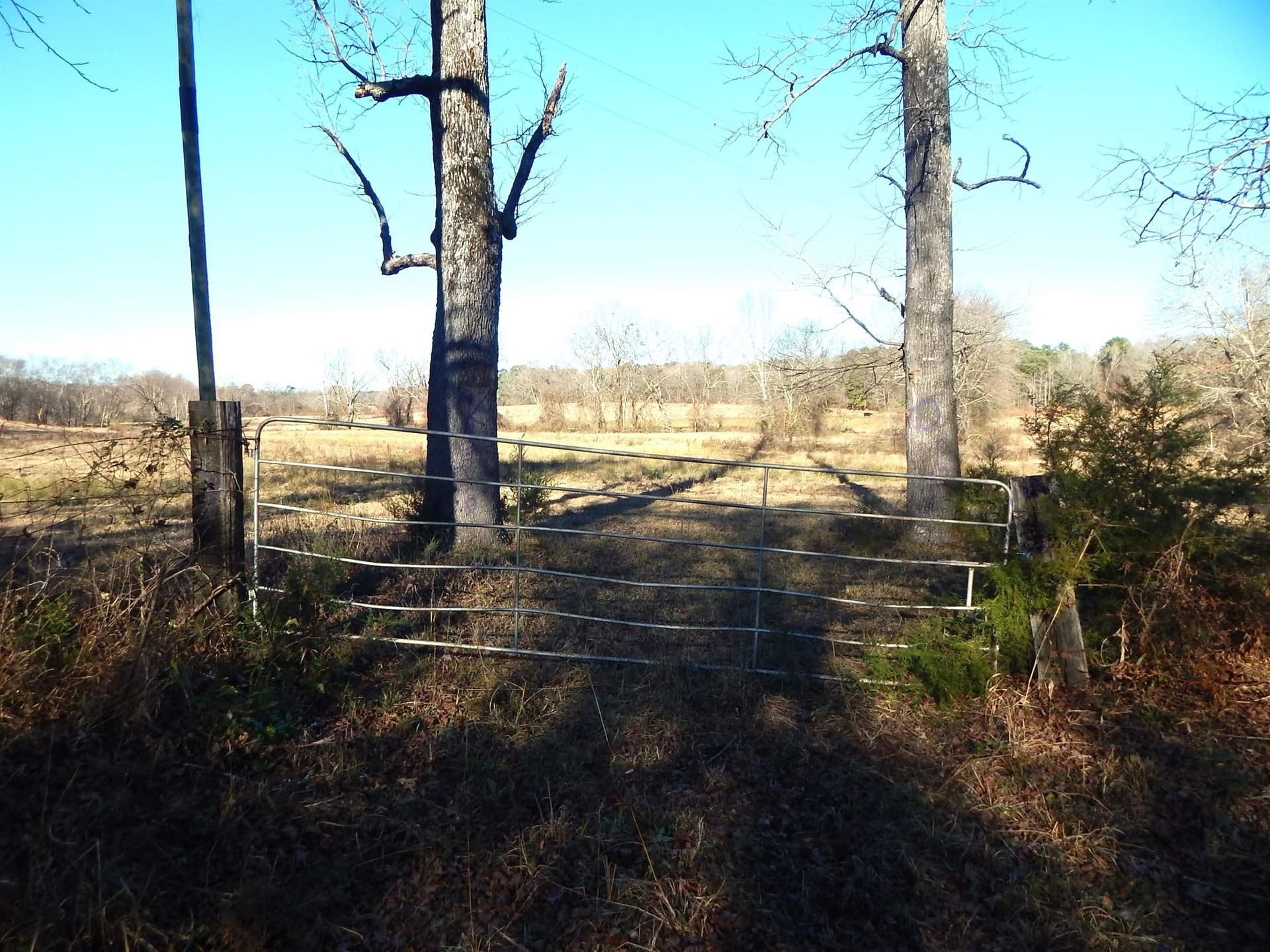 90.49 acres in Upshur County - photo 10