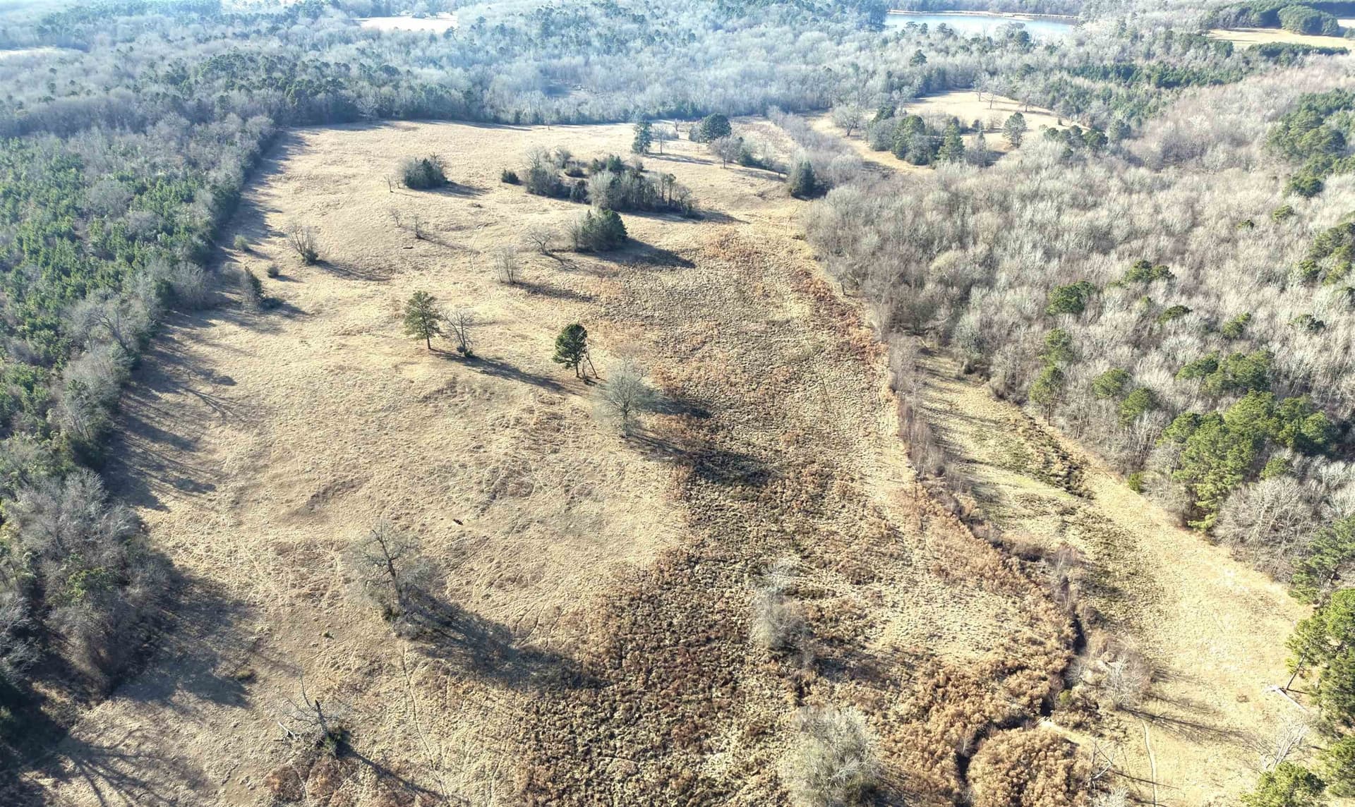 90.49 acres in Upshur County - photo 18