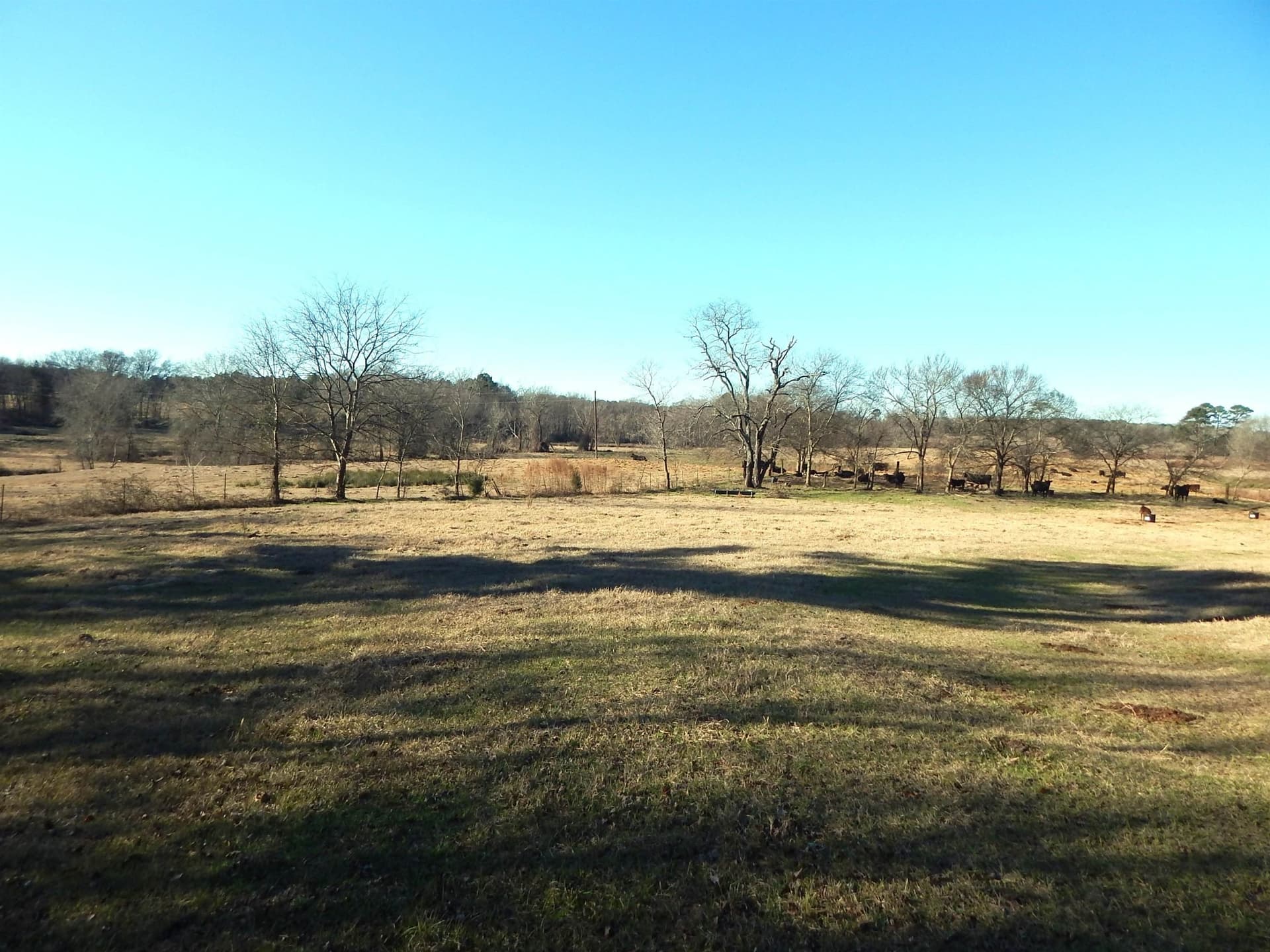 90.49 acres in Upshur County - photo 23