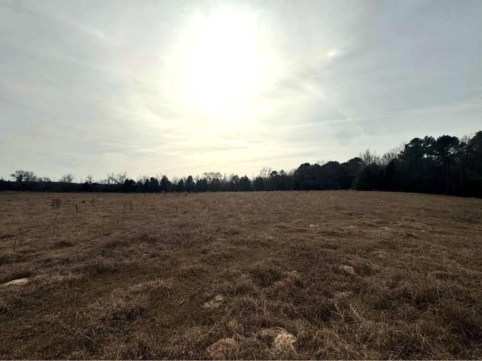 90.49 acres in Upshur County - photo 14