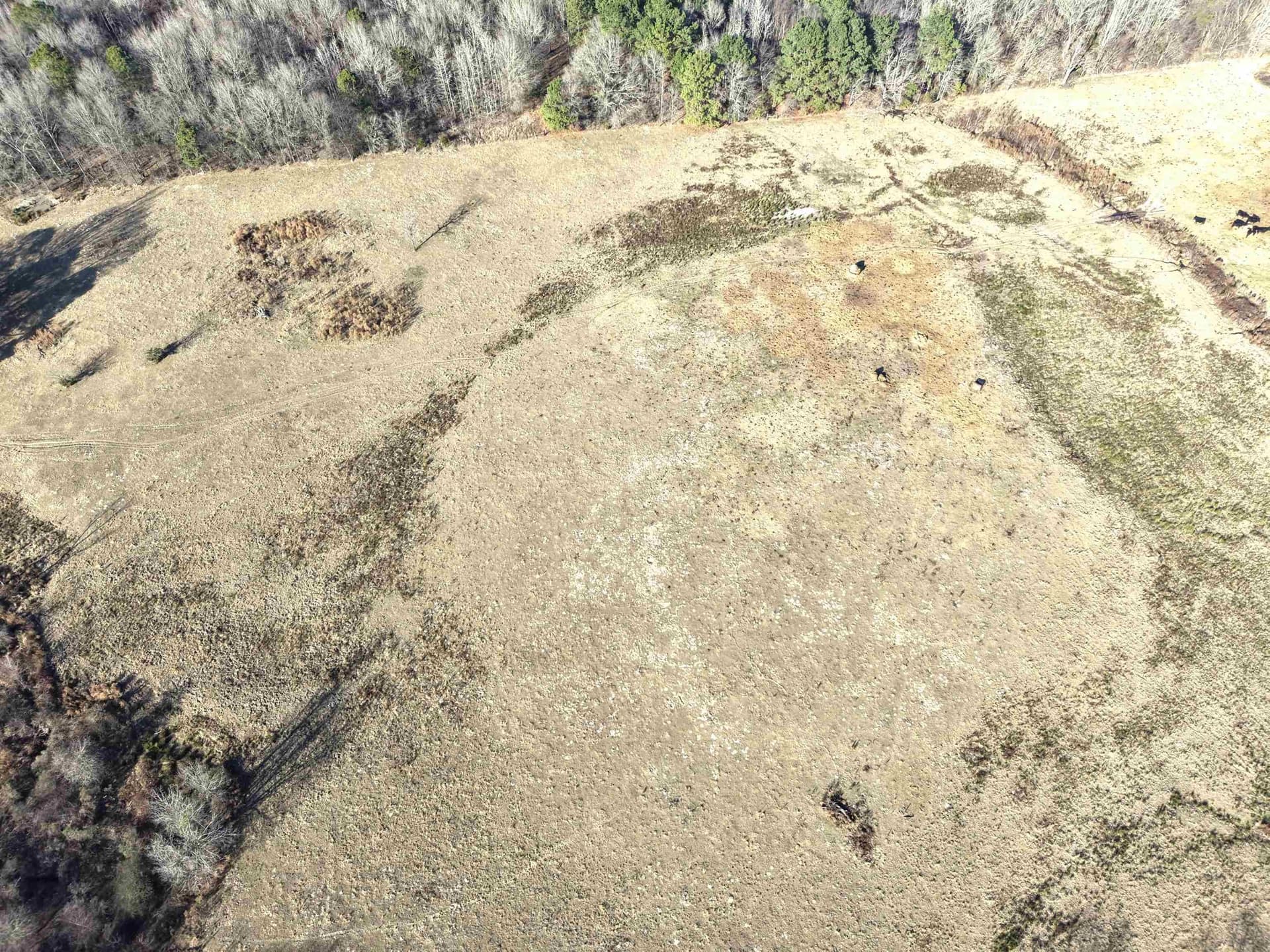 90.49 acres in Upshur County - photo 17