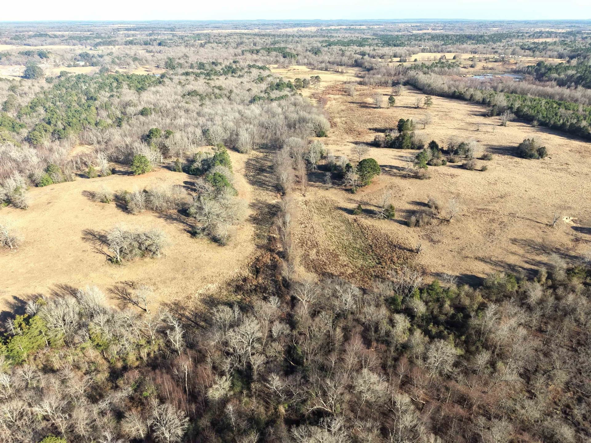 90.49 acres in Upshur County - photo 21