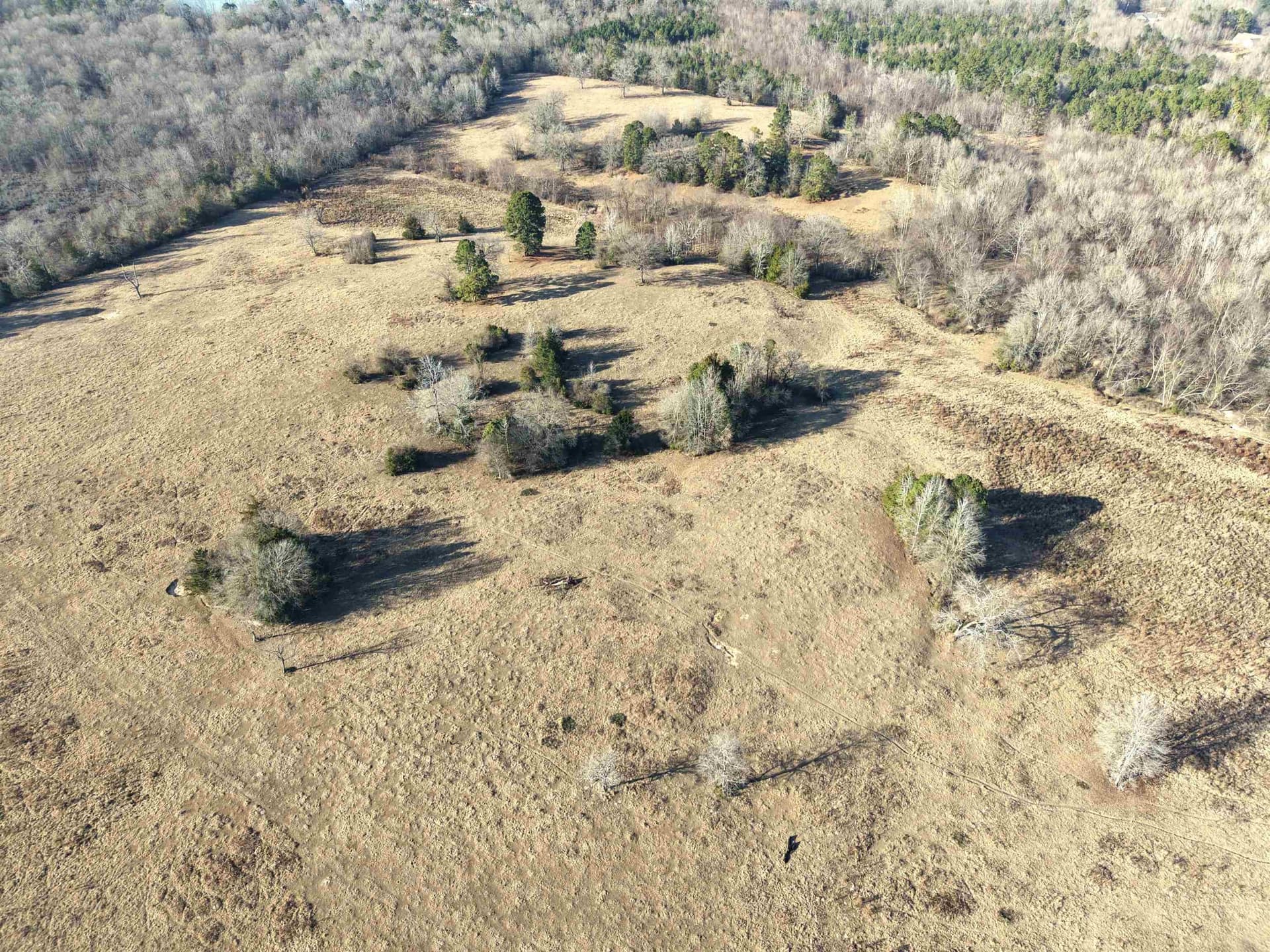 90.49 acres in Upshur County - photo 4