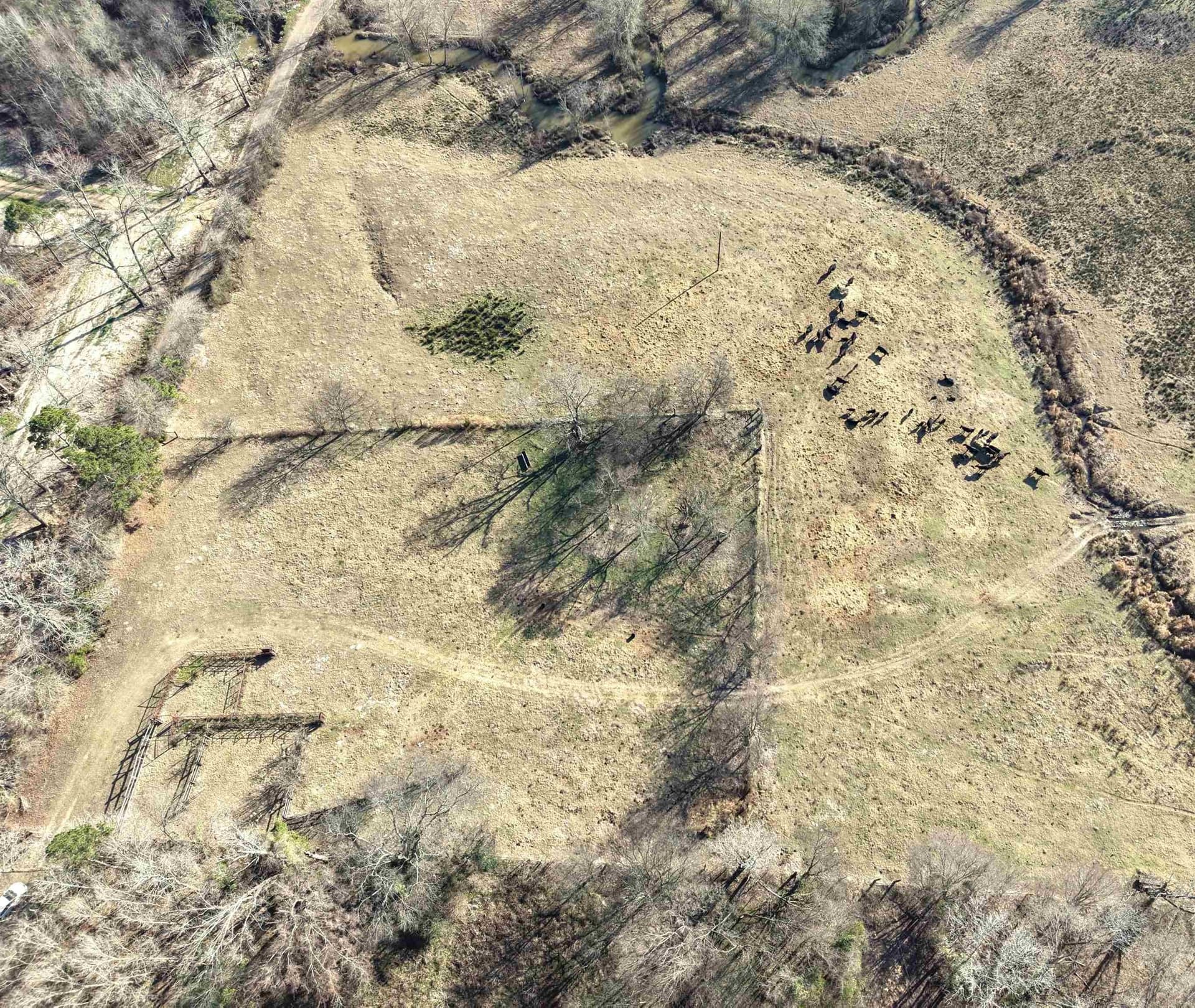 90.49 acres in Upshur County - photo 2