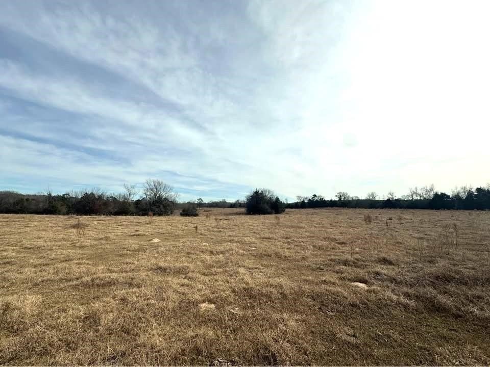 90.49 acres in Upshur County - photo 16