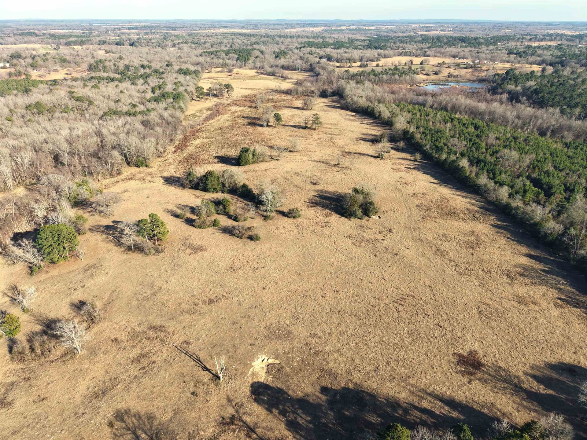 90.49 acres in Upshur County - photo 20