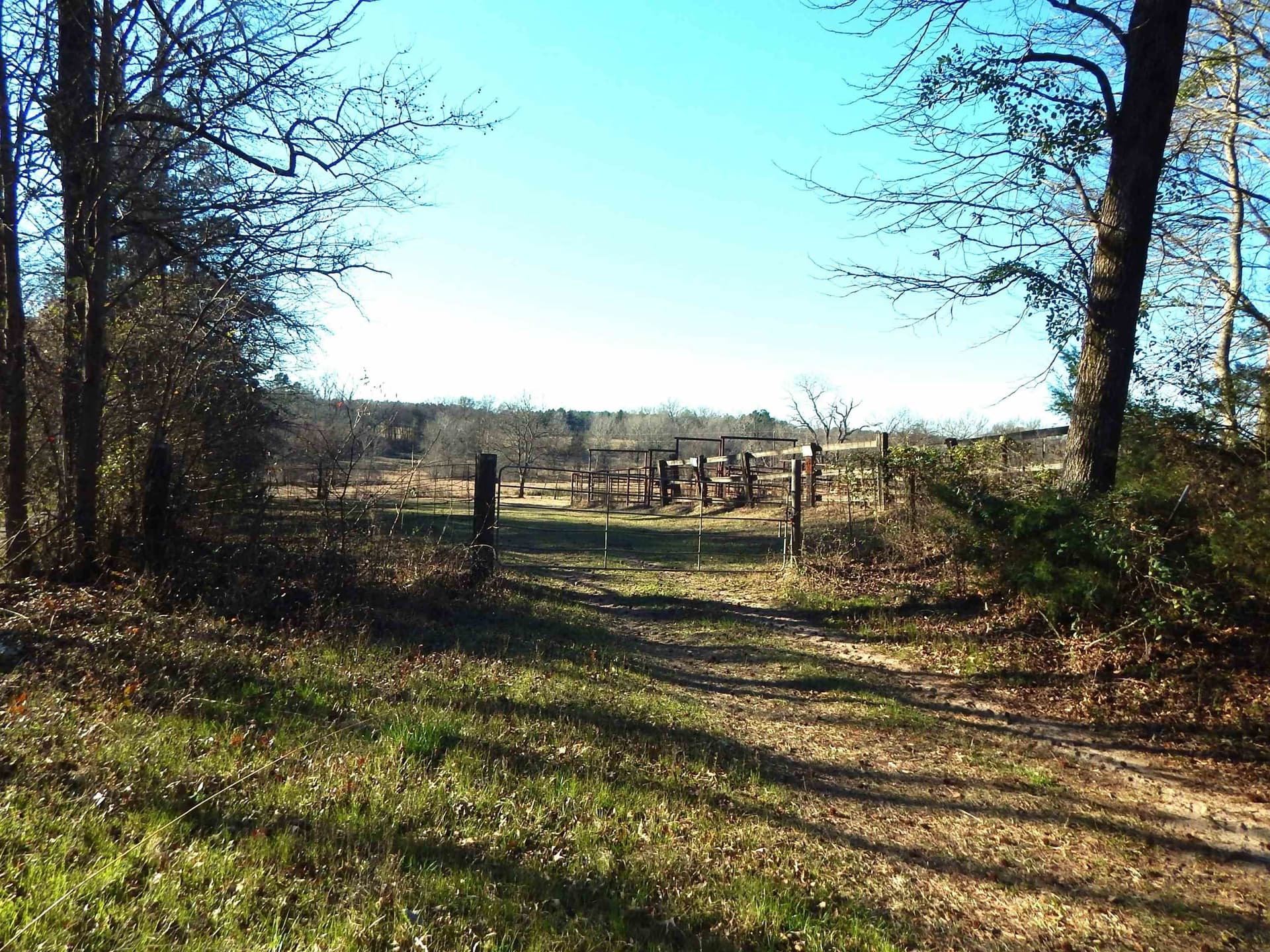 90.49 acres in Upshur County - photo 9