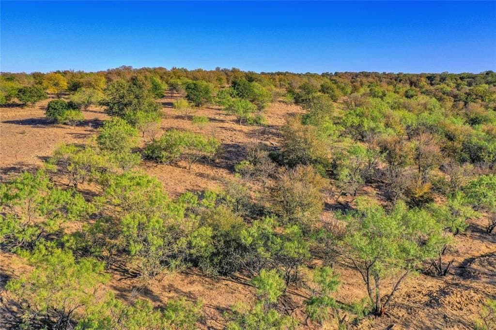 100.13 acres in Jack County - photo 13