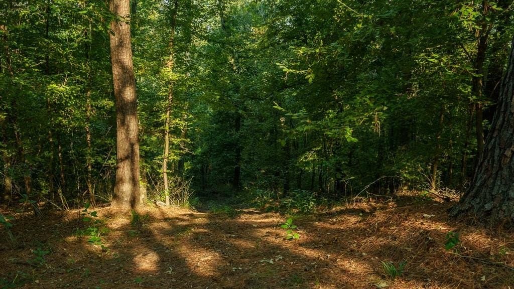 265 acres in Smith County - photo 24