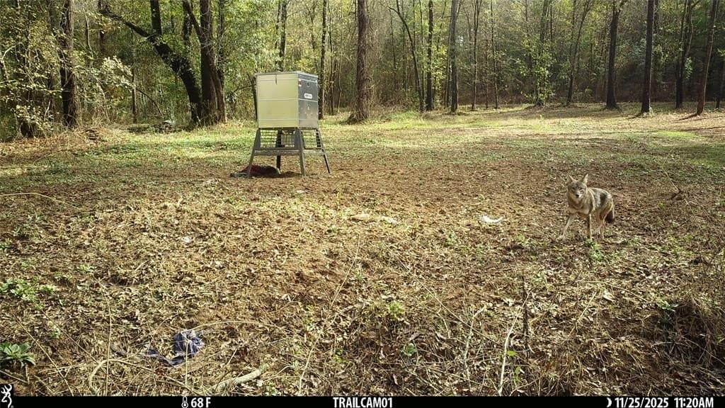 265 acres in Smith County - photo 30