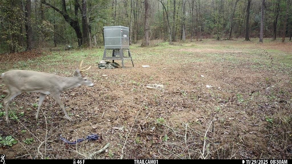 265 acres in Smith County - photo 3