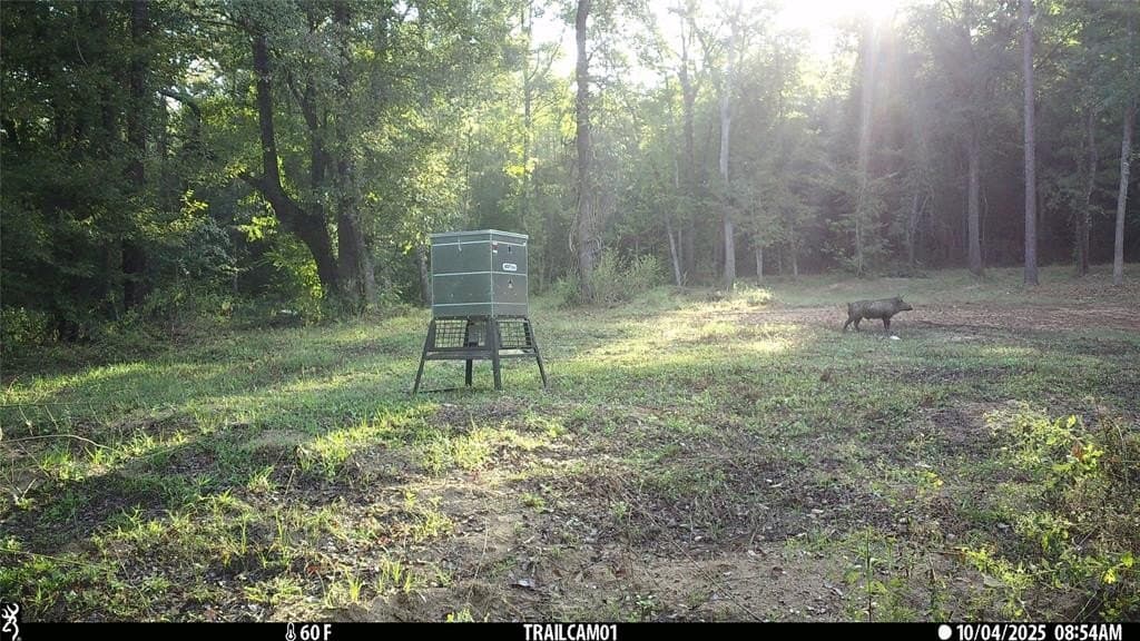 265 acres in Smith County - photo 34