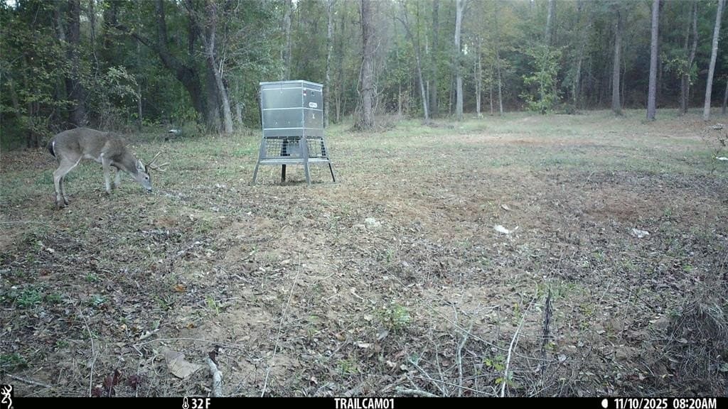 265 acres in Smith County - photo 39