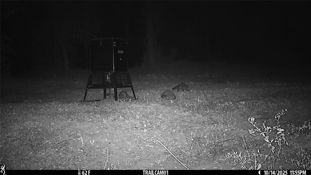 265 acres in Smith County - photo 31