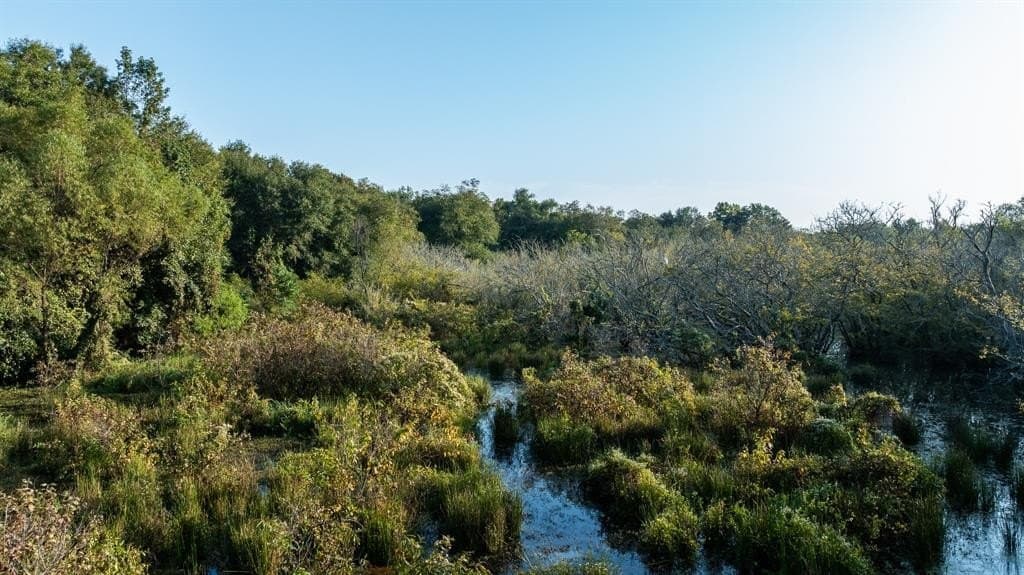 265 acres in Smith County - photo 20