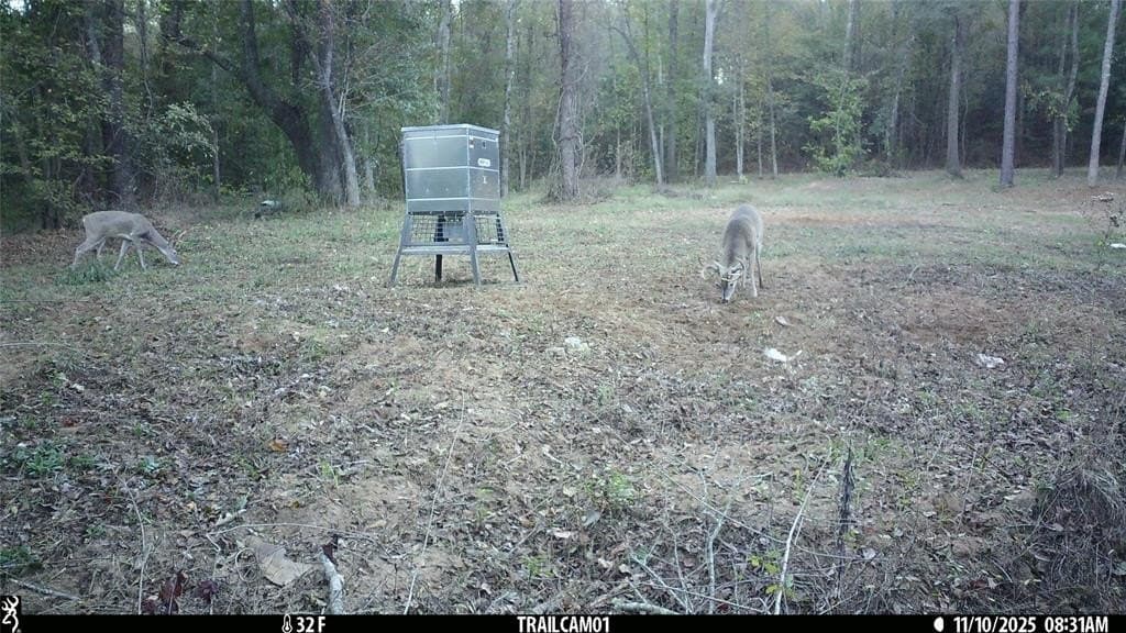 265 acres in Smith County - photo 40