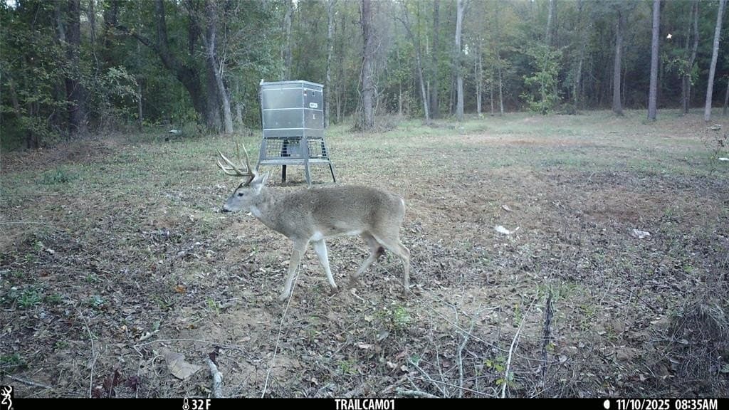 265 acres in Smith County - photo 2