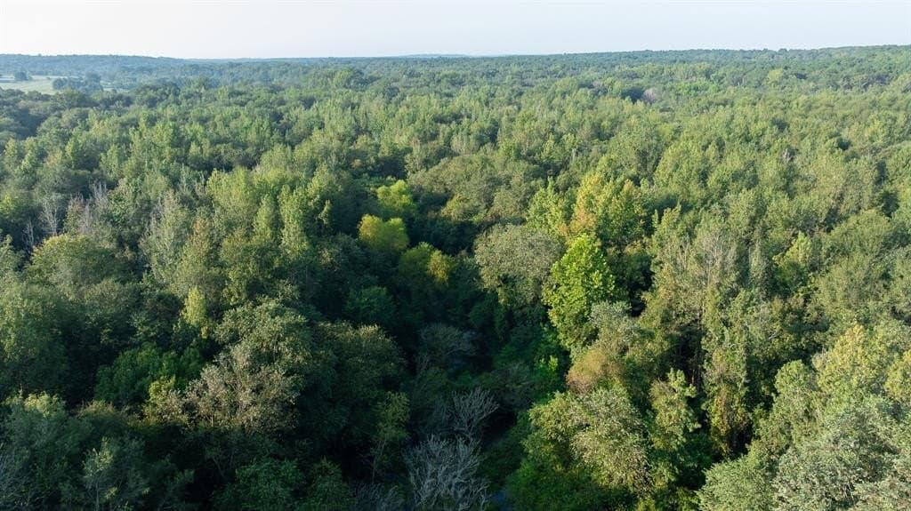 265 acres in Smith County - photo 18