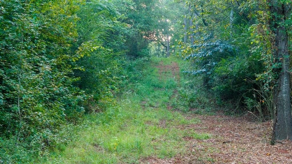 265 acres in Smith County - photo 13