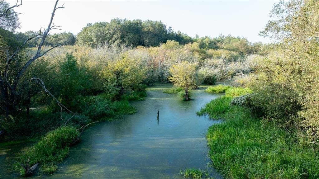 265 acres in Smith County - photo 17
