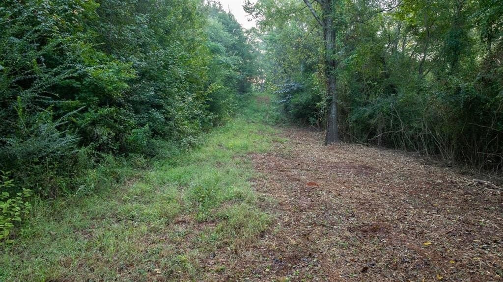 265 acres in Smith County - photo 12