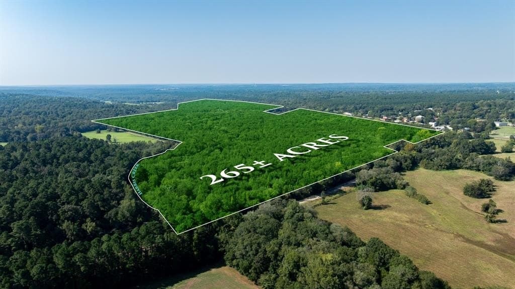 265 acres in Smith County - photo 10