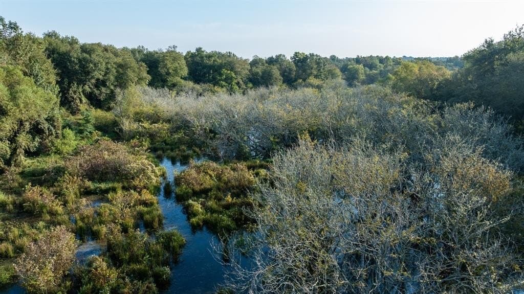 265 acres in Smith County - photo 19