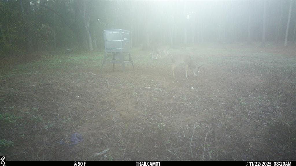 265 acres in Smith County - photo 37