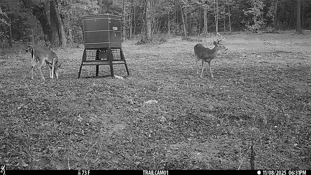 265 acres in Smith County - photo 4