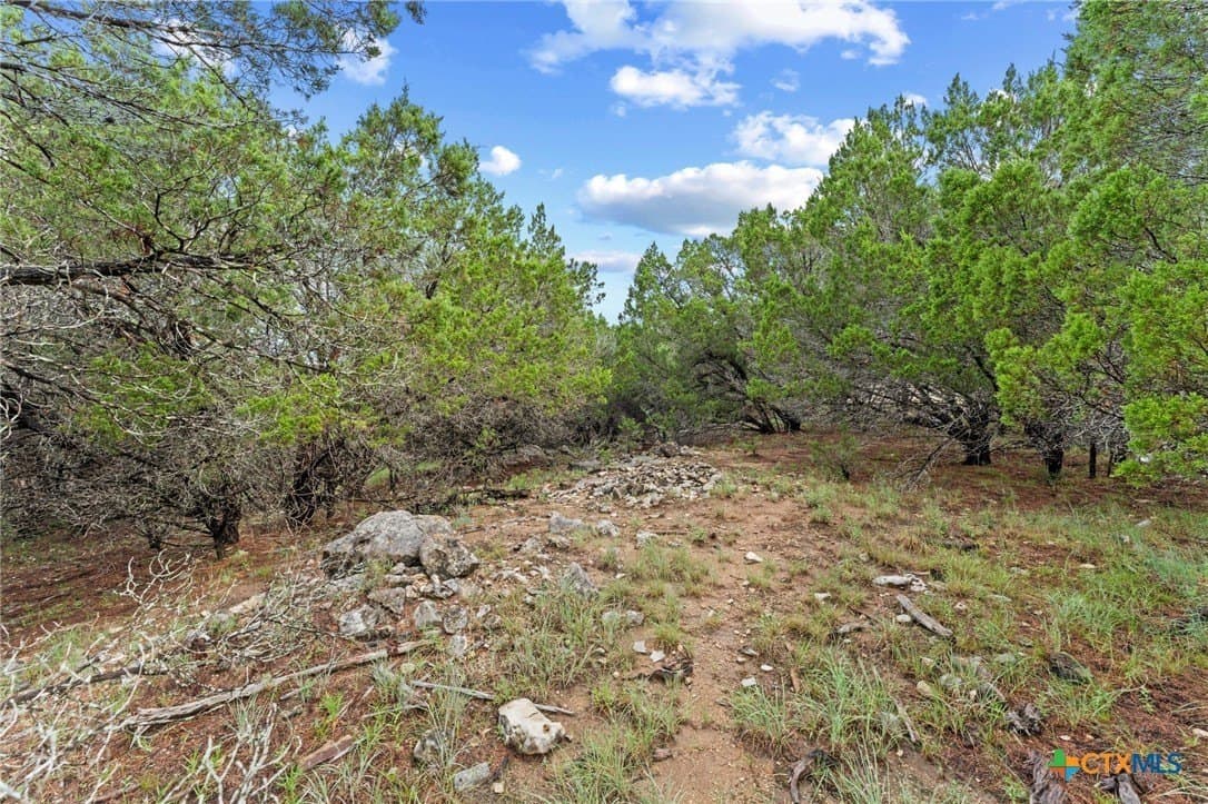 0.25 acres in Travis County - photo 2